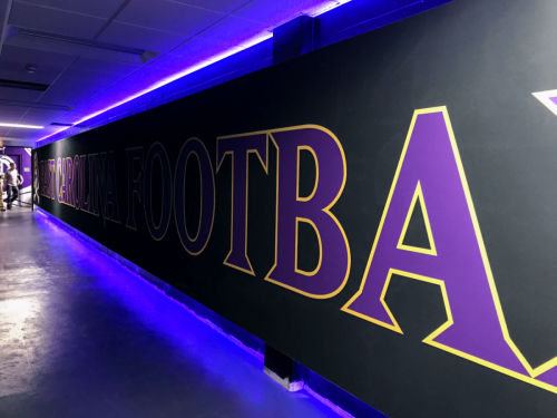 East-Carolina-Football-Mural-2