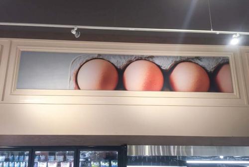 Graphic-4-2-e1652380112622