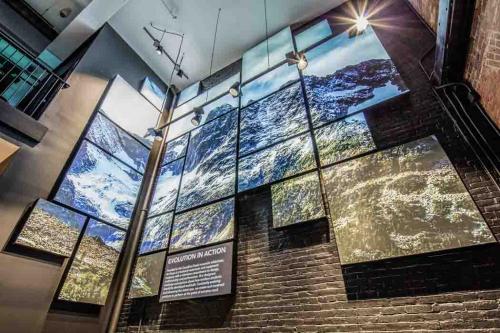 arcteryx-wall-9-of-10